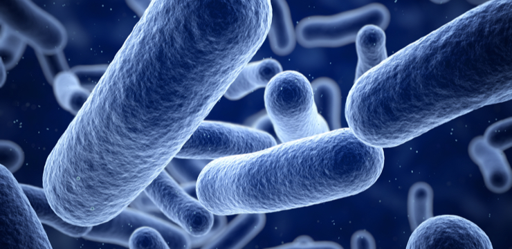 Germs